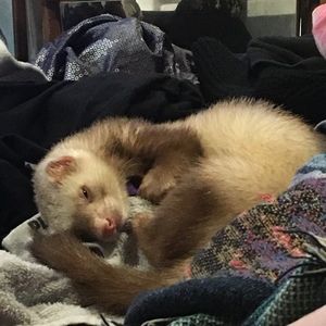 Meet your Posher, Courtney